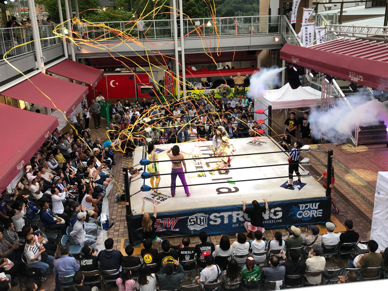 2019プロレス